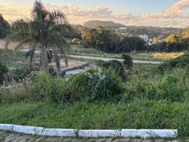 Terreno / Lote para Venda em Carlos Barbosa/RS Planalto