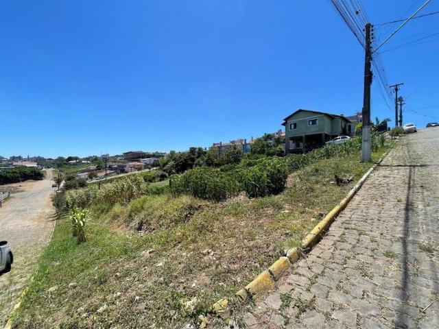 Terreno / Lote para Venda em Carlos Barbosa/RS Ponte Seca
