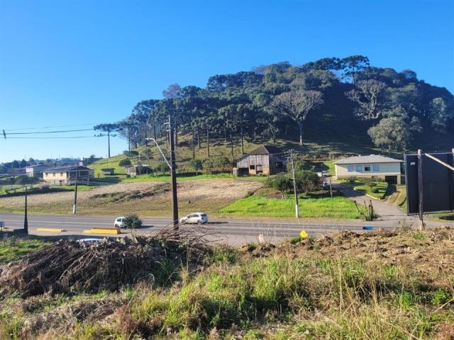 Terreno / Lote para Venda em Carlos Barbosa/RS São Paulo