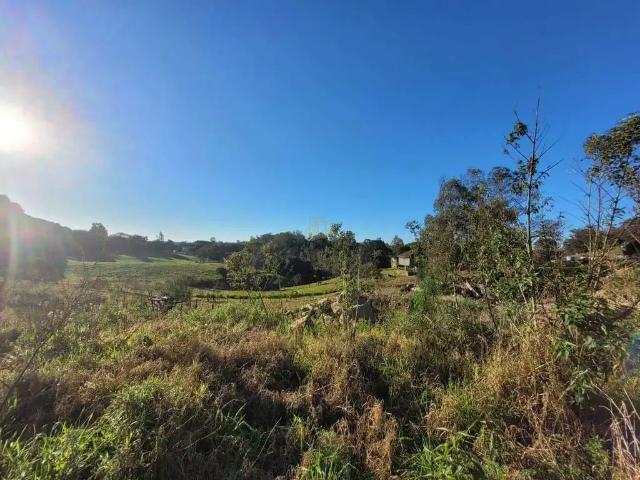 Terreno / Lote para Venda em Carlos Barbosa/RS São Paulo
