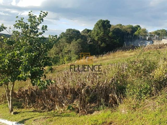 Terreno / Lote para Venda em Carlos Barbosa/RS São Paulo