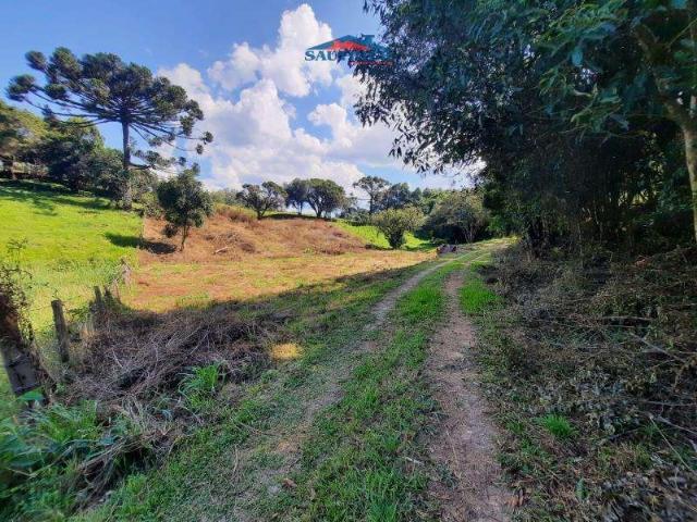 Terreno / Lote para Venda em Carlos Barbosa/RS Centro