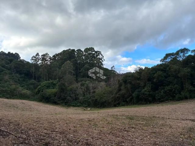 Terreno / Lote para Venda em Carlos Barbosa/RS Santo Antônio De Castro