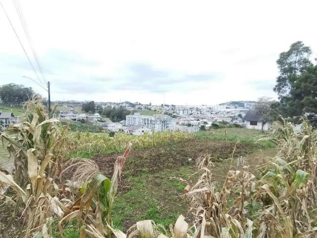 Terreno / Lote para Venda em Carlos Barbosa/RS Triângulo