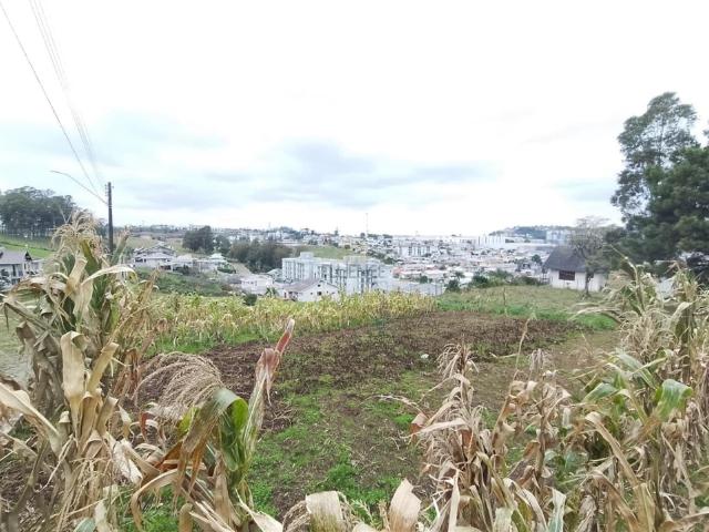 Terreno / Lote para Venda em Carlos Barbosa/RS Triângulo