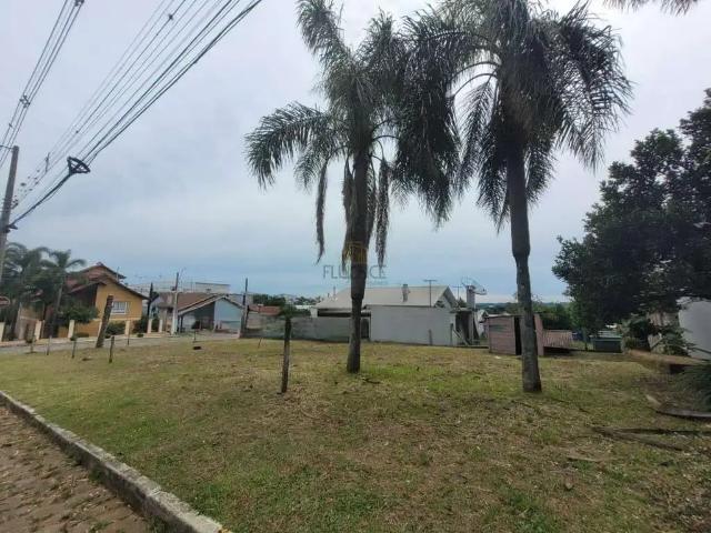 Terreno / Lote para Venda em Carlos Barbosa/RS Triângulo