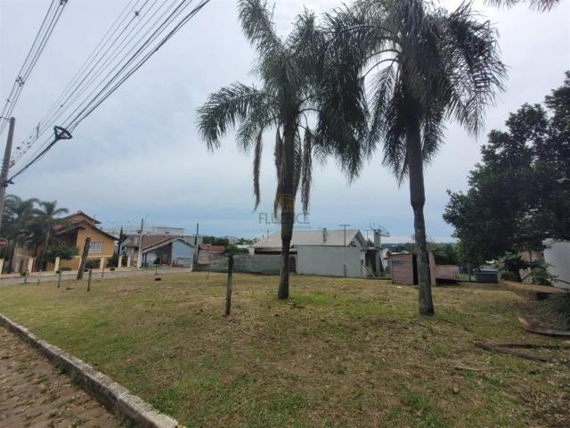 Terreno / Lote para Venda em Carlos Barbosa/RS Triângulo