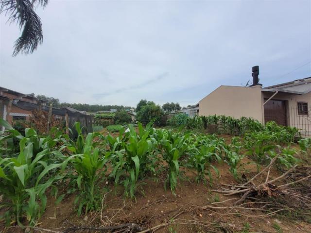 Terreno / Lote para Venda em Carlos Barbosa/RS Triângulo