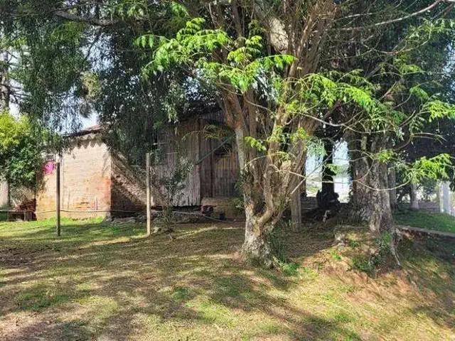 Terreno / Lote para Venda em Carlos Barbosa/RS Triângulo