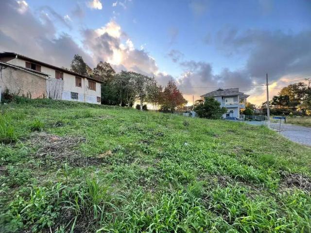 Terreno / Lote para Venda em Carlos Barbosa/RS Triângulo