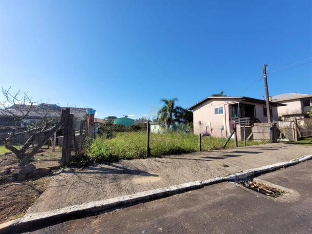 Terreno / Lote para Venda em Carlos Barbosa/RS Vila Nova