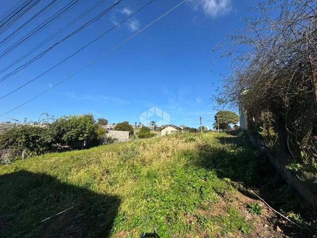 Terreno / Lote para Venda em Carlos Barbosa/RS Vila Nova