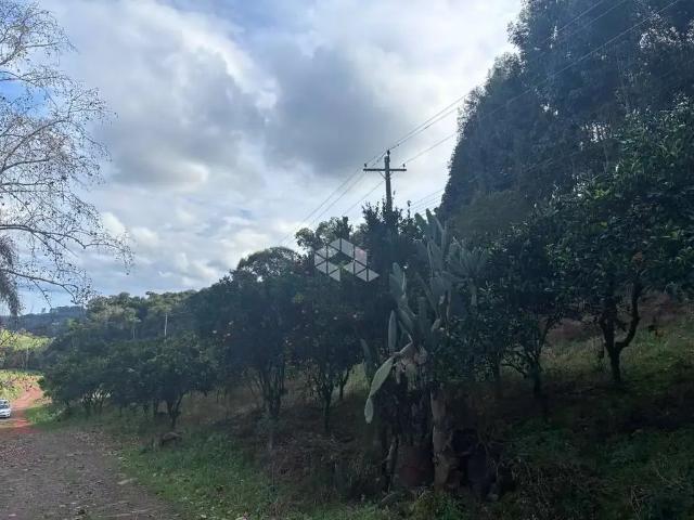 Terreno / Lote para Venda em Carlos Barbosa/RS Zona Rural