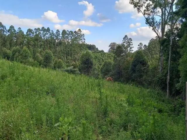 Terreno / Lote para Venda em Carlos Barbosa/RS Zona Rural