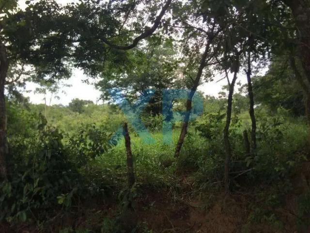 Terreno / Lote para Venda em Carmo do Cajuru/MG São José dos Salgados