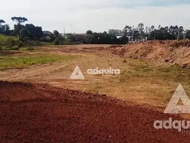 Terreno / Lote para Venda em Castro/PR Jardim Colonial