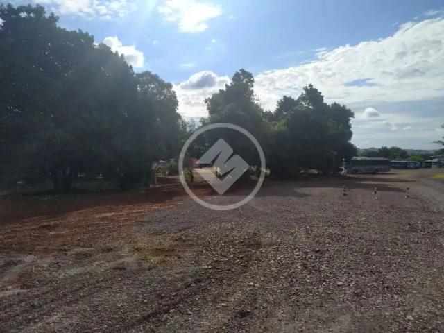 Terreno / Lote para Venda em Cascavel/PR Alto Alegre
