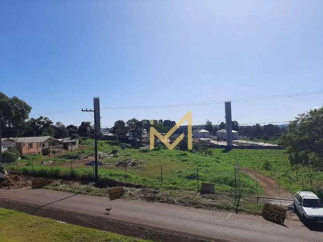 Terreno / Lote para Venda em Cascavel/PR Brasília