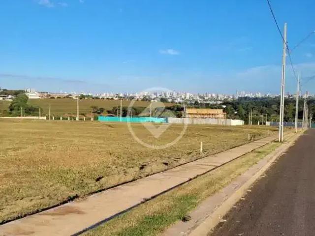 Terreno / Lote para Venda em Cascavel/PR Brasília