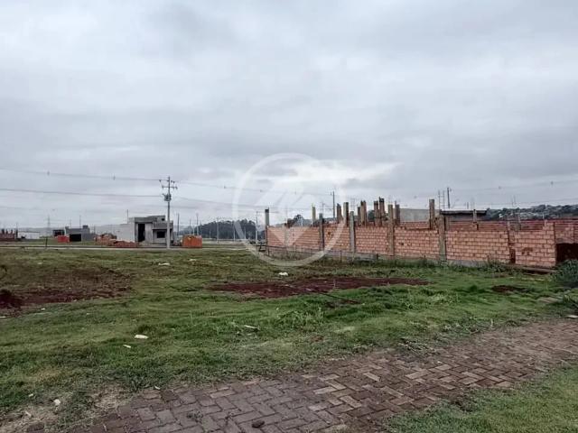 Terreno / Lote para Venda em Cascavel/PR Brazmadeira
