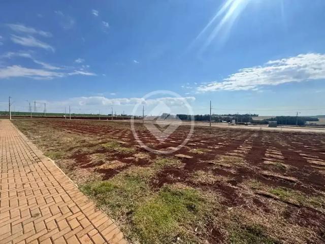 Terreno / Lote para Venda em Cascavel/PR Brazmadeira