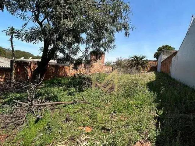 Terreno / Lote para Venda em Cascavel/PR Brazmadeira