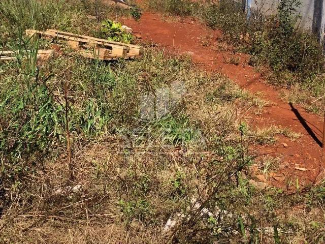 Terreno / Lote para Venda em Cascavel/PR Canadá