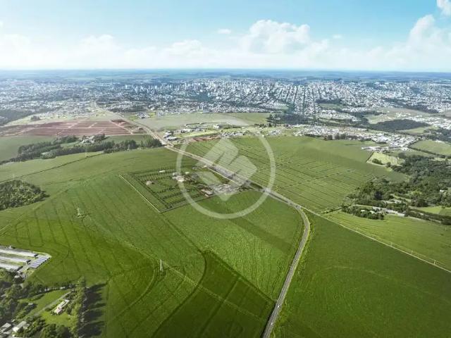 Terreno / Lote para Venda em Cascavel/PR Cancelli