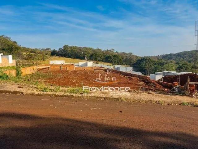 Terreno / Lote para Venda em Cascavel/PR Cascavel Velho