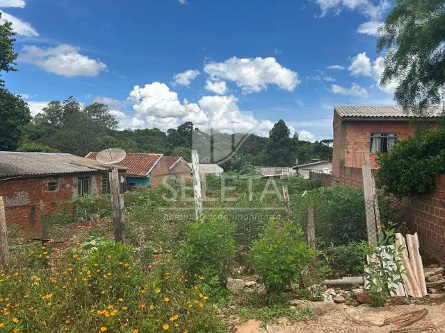 Terreno / Lote para Venda em Cascavel/PR Cascavel Velho