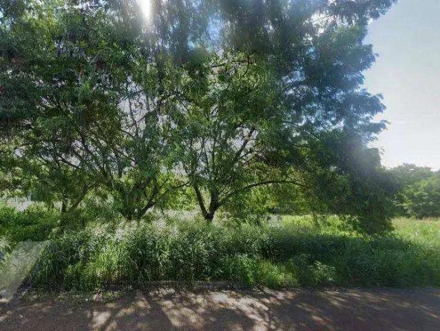 Terreno / Lote para Venda em Cascavel/PR Centro