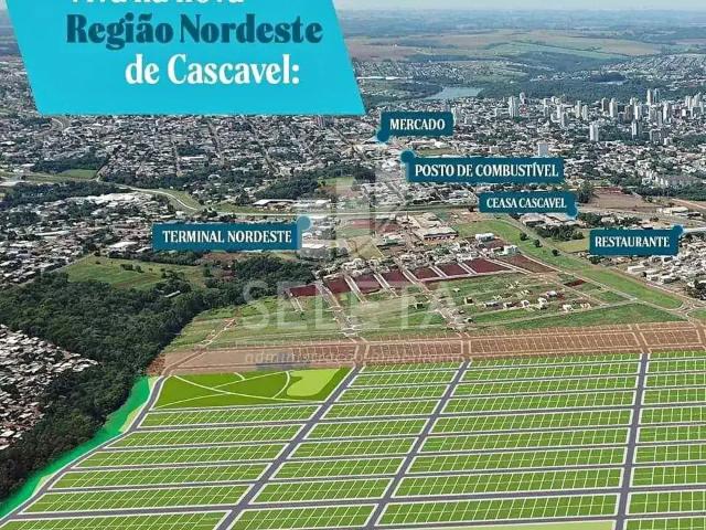 Terreno / Lote para Venda em Cascavel/PR Centro