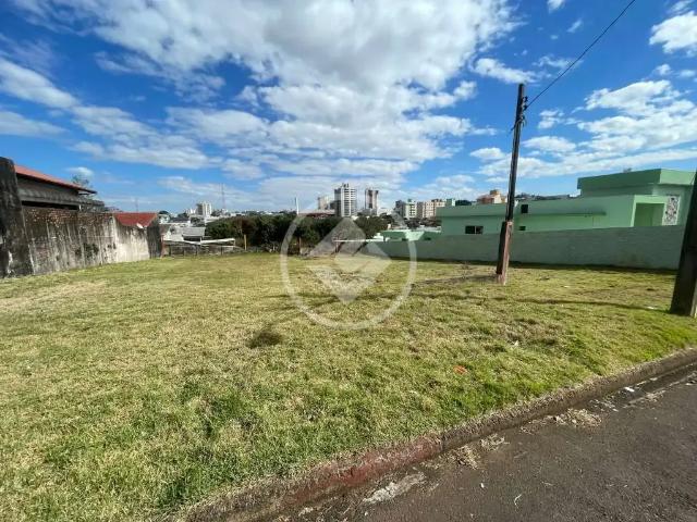 Terreno / Lote para Venda em Cascavel/PR Centro
