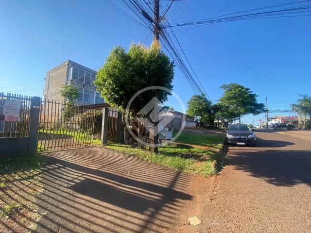 Terreno / Lote para Venda em Cascavel/PR Floresta