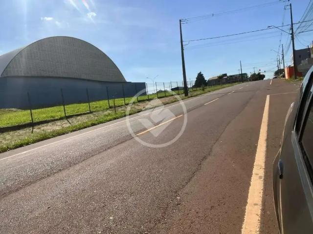 Terreno / Lote para Venda em Cascavel/PR Floresta