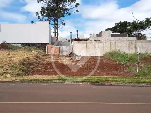 Terreno / Lote para Venda em Cascavel/PR Floresta