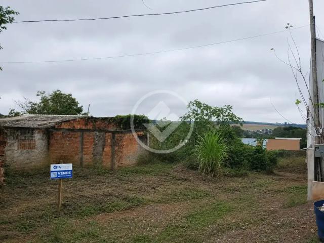 Terreno / Lote para Venda em Cascavel/PR Floresta