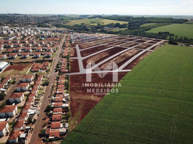 Terreno / Lote para Venda em Cascavel/PR Floresta