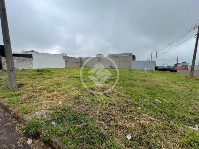 Terreno / Lote para Venda em Cascavel/PR Floresta