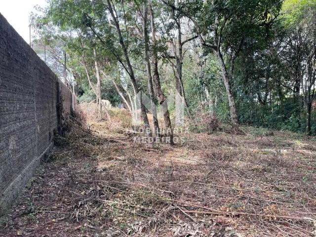Terreno / Lote para Venda em Cascavel/PR Lago Azul