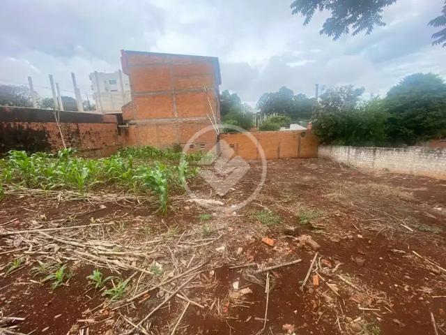 Terreno / Lote para Venda em Cascavel/PR Pacaembu