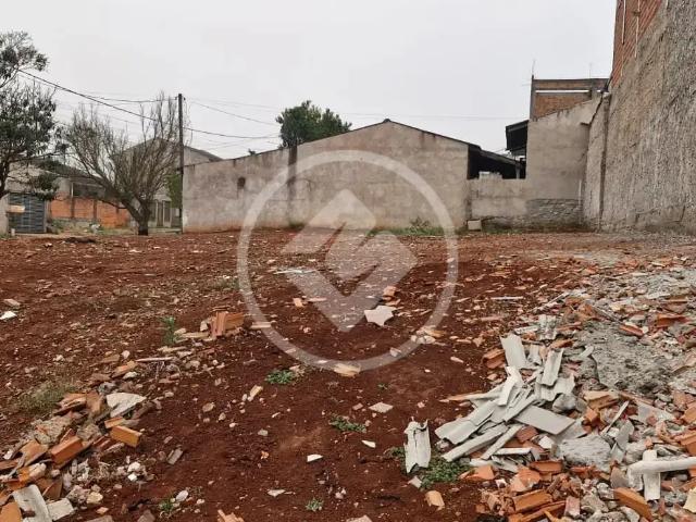 Terreno / Lote para Venda em Cascavel/PR Periolo