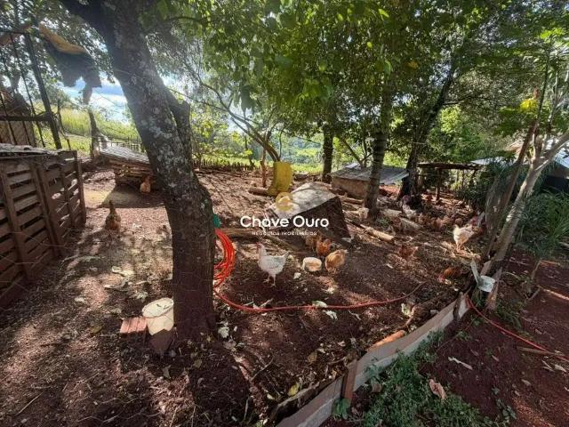Terreno / Lote para Venda em Cascavel/PR Rio Do Salto