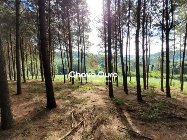 Terreno / Lote para Venda em Cascavel/PR Rio Do Salto