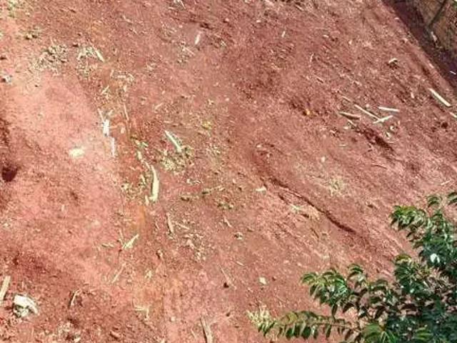 Terreno / Lote para Venda em Cascavel/PR Santa Felicidade