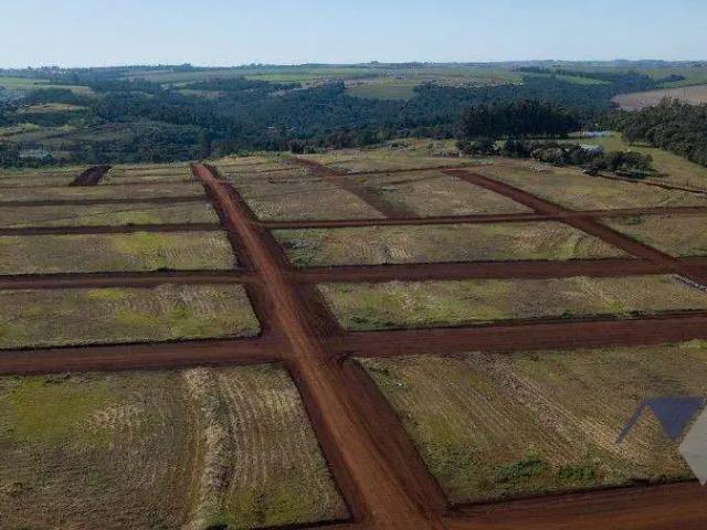 Terreno / Lote para Venda em Cascavel/PR Universitário
