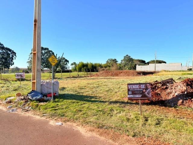 Terreno / Lote para Venda em Cascavel/PR Vista Linda