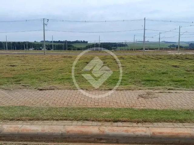 Terreno / Lote para Venda em Cascavel/PR Área Rural de Cascavel