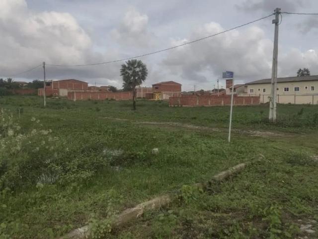 Terreno / Lote para Venda em Caucaia/CE Araturi Jurema
