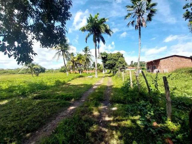 Terreno / Lote para Venda em Caucaia/CE Genipabu